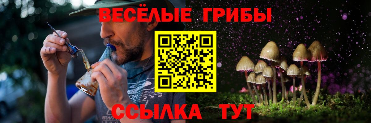Псилоцибиновые грибы Magic Shrooms Североморск